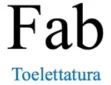 Logo Fab toelettatura arredamento per toelettature